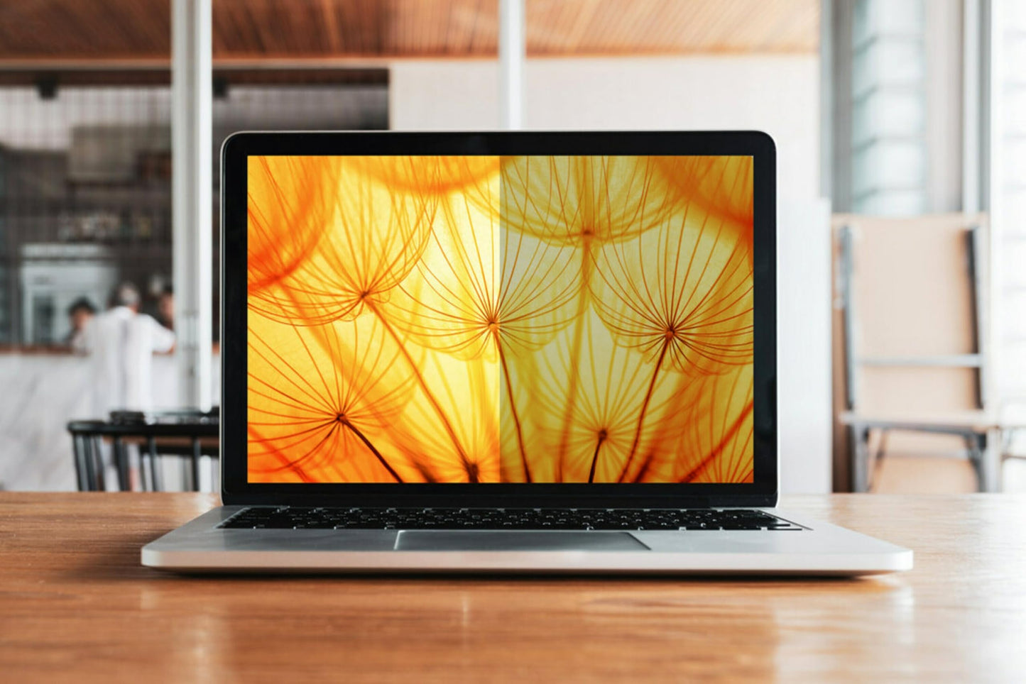 3M™ Bright Screen Privacy Filter for 16in Laptop, 16:10, BP160W1B