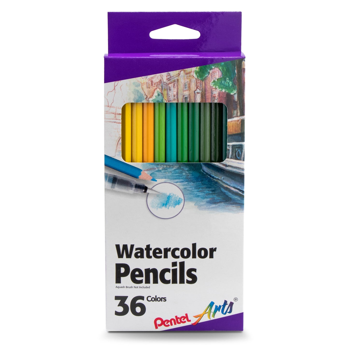 Pentel Arts Watercolor Pencil Set - Assorted Colors, 36-Pack (CB9-36)