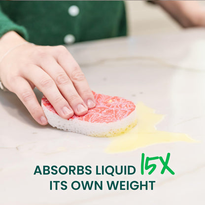 Scotch-Brite® Compressed Sponge COMP-SP