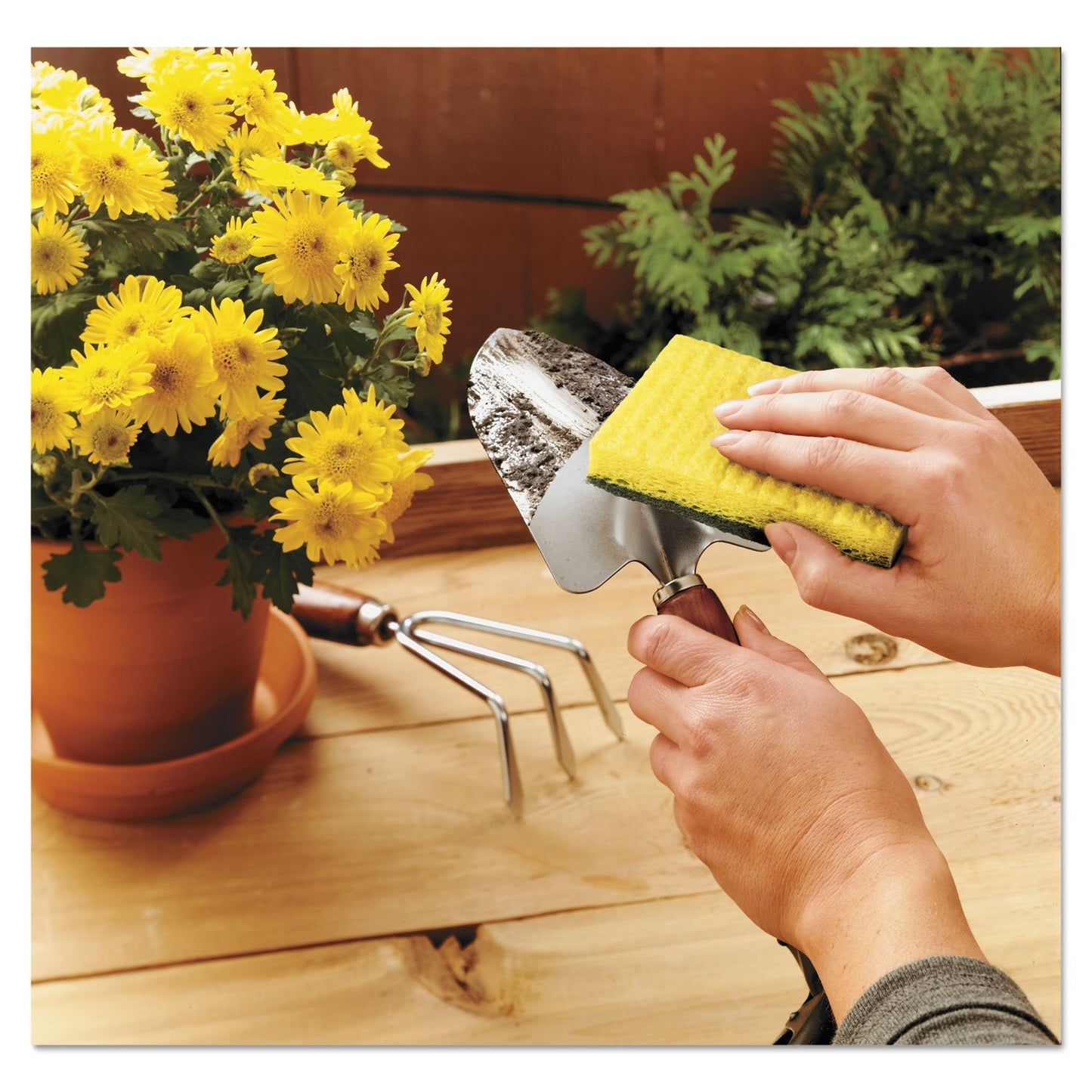 Scotch-Brite® Heavy Duty Scrub Sponge HD-3-S25, 8/3