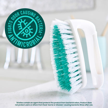 Scotch-Brite® All Purpose Brush 492P-6, 6 each/case
