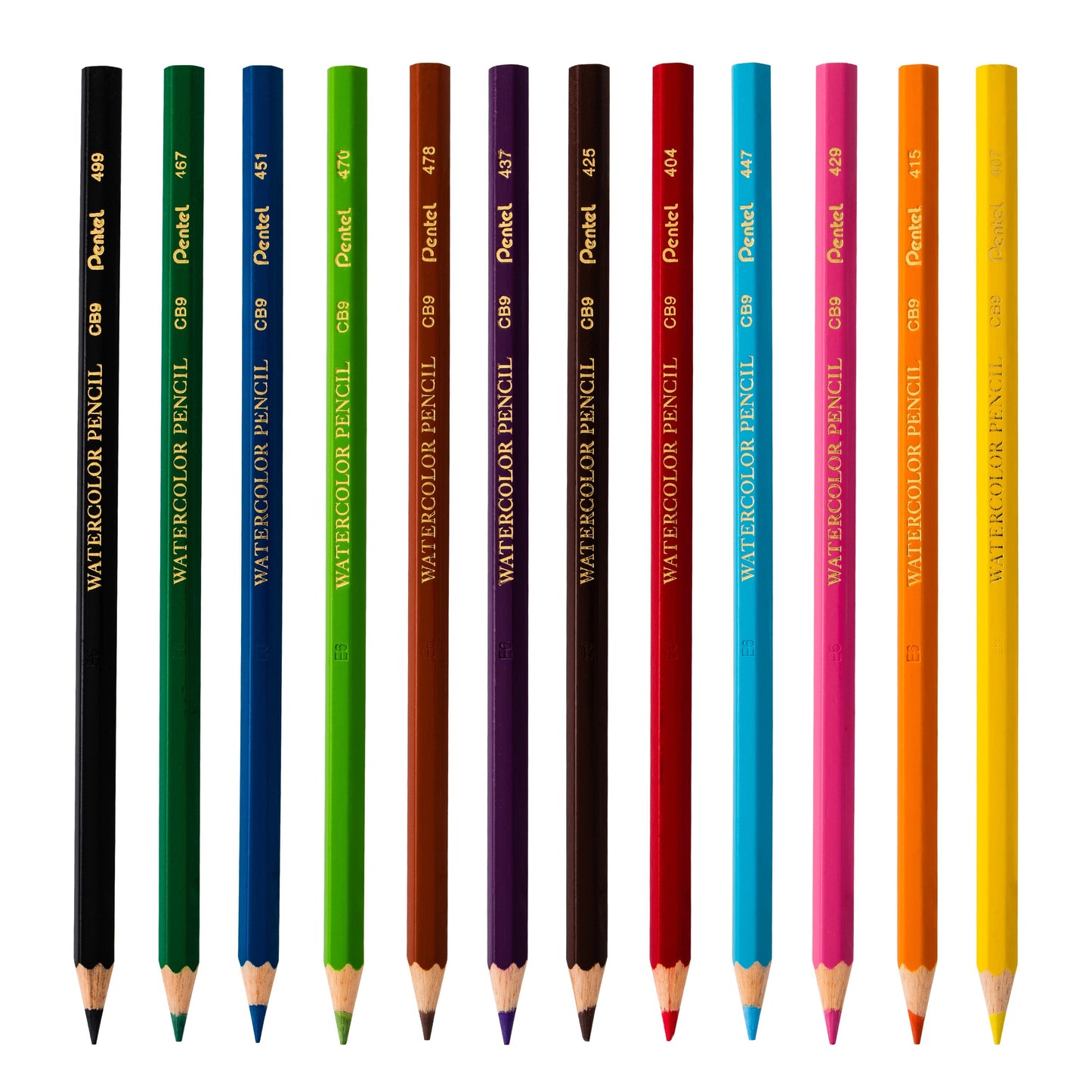 Pentel Arts Watercolor Pencil Set - Assorted Colors, 12-Pack (CB9-12)