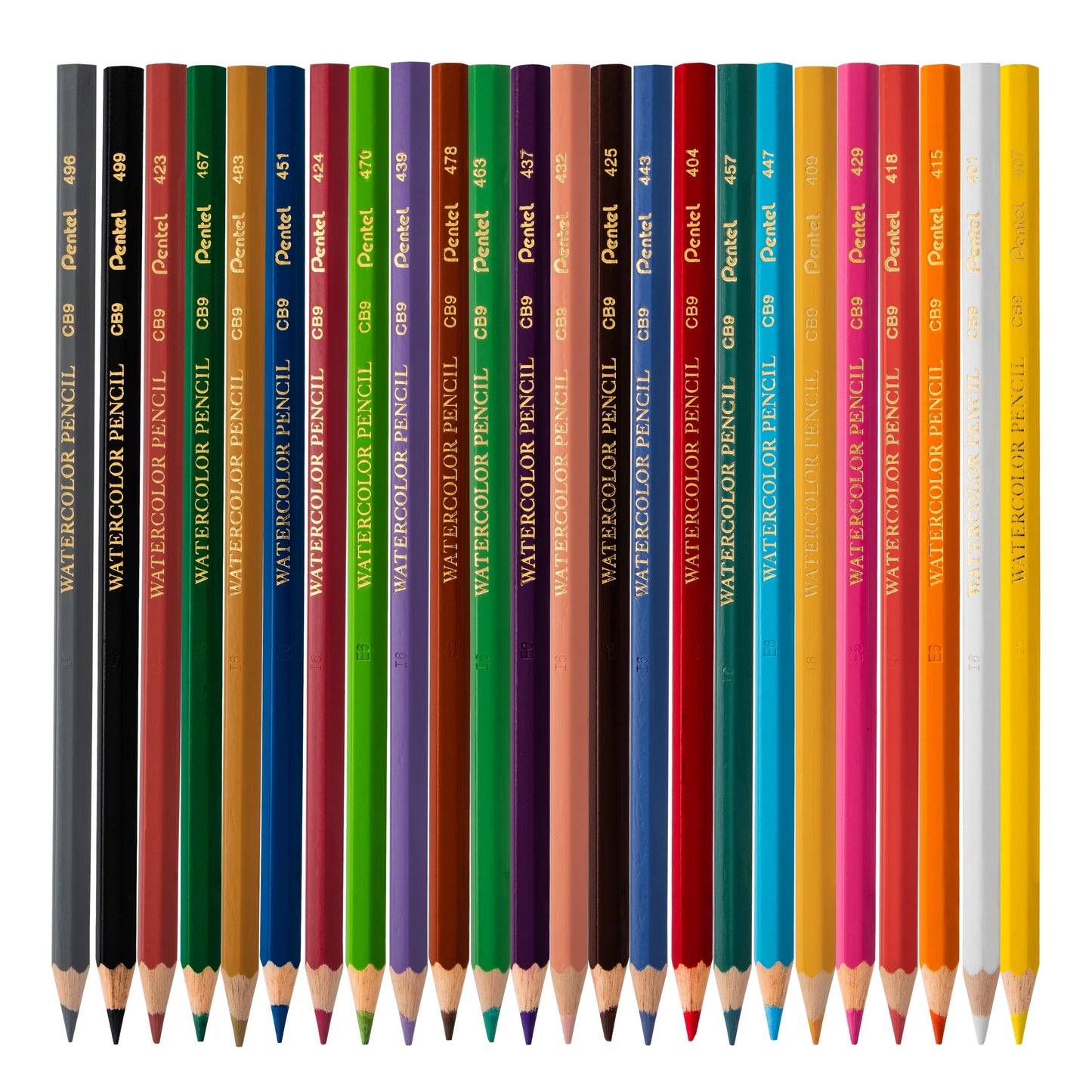 Pentel Arts Watercolor Pencil Set - Assorted Colors, 24-Pack (CB9-24), 48 Each